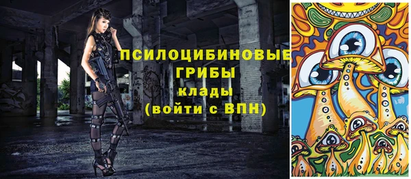 дурь Богородицк