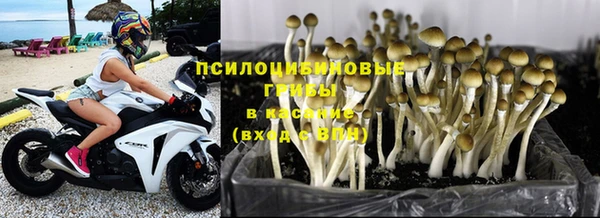 альфа пвп Богородск