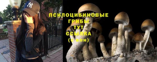 дурь Богородицк