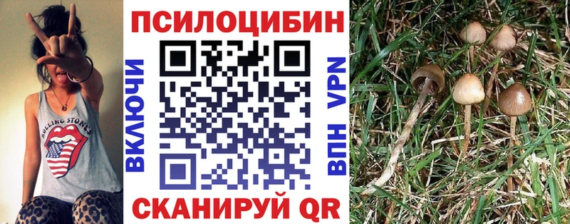 Галлюциногенные грибы Psilocybine cubensis  Купить  Чухлома 
